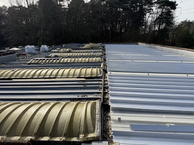 Longcross New Standing Seam Roof